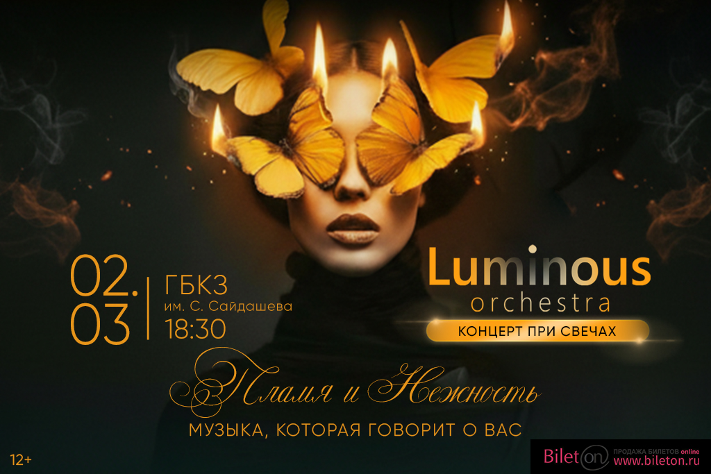 Концерт Luminous orchestra 