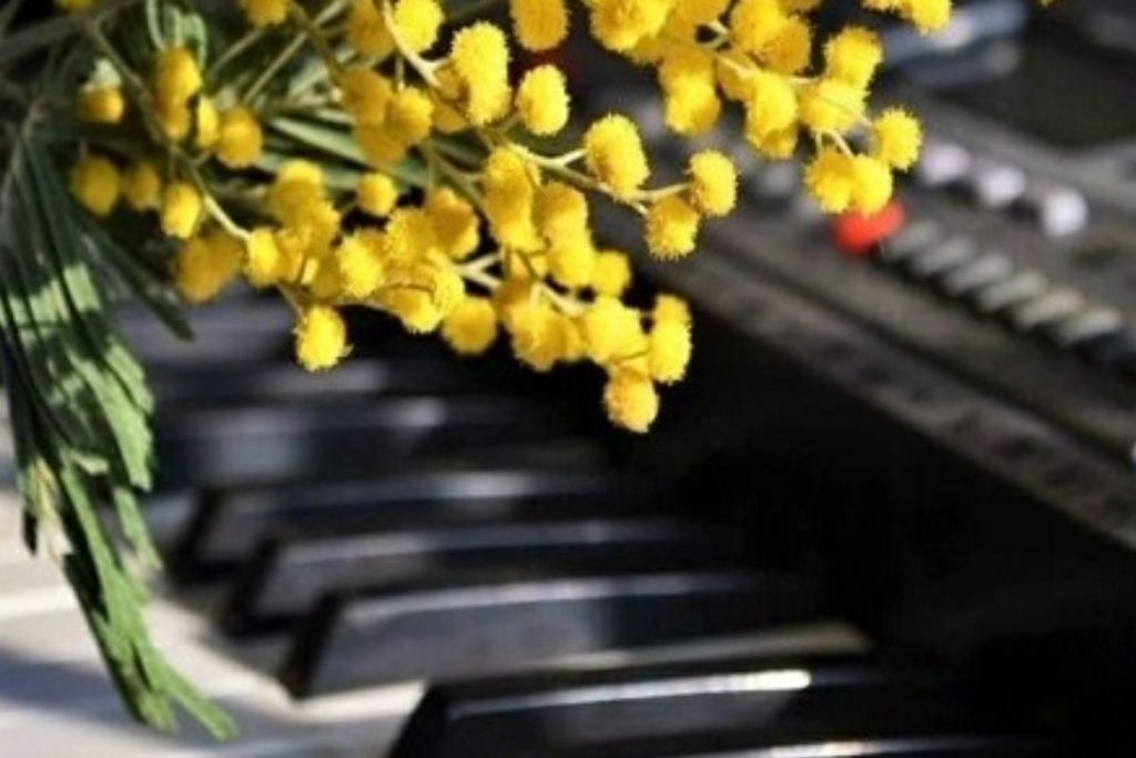 Консерватория/ Концерт «Фортепианная школа Казанской консерватории. Новое поколение»